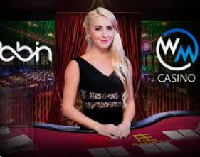 壹号电子娱乐app电脑免费版